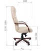 Кресло руководителя CHAIRMAN 480 WD - БИЗНЕС МЕБЕЛЬ - Интернет-магазин офисной мебели в Екатеринбурге